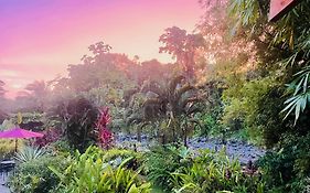 Casitas Del Rio Riverfront Nature Lodge